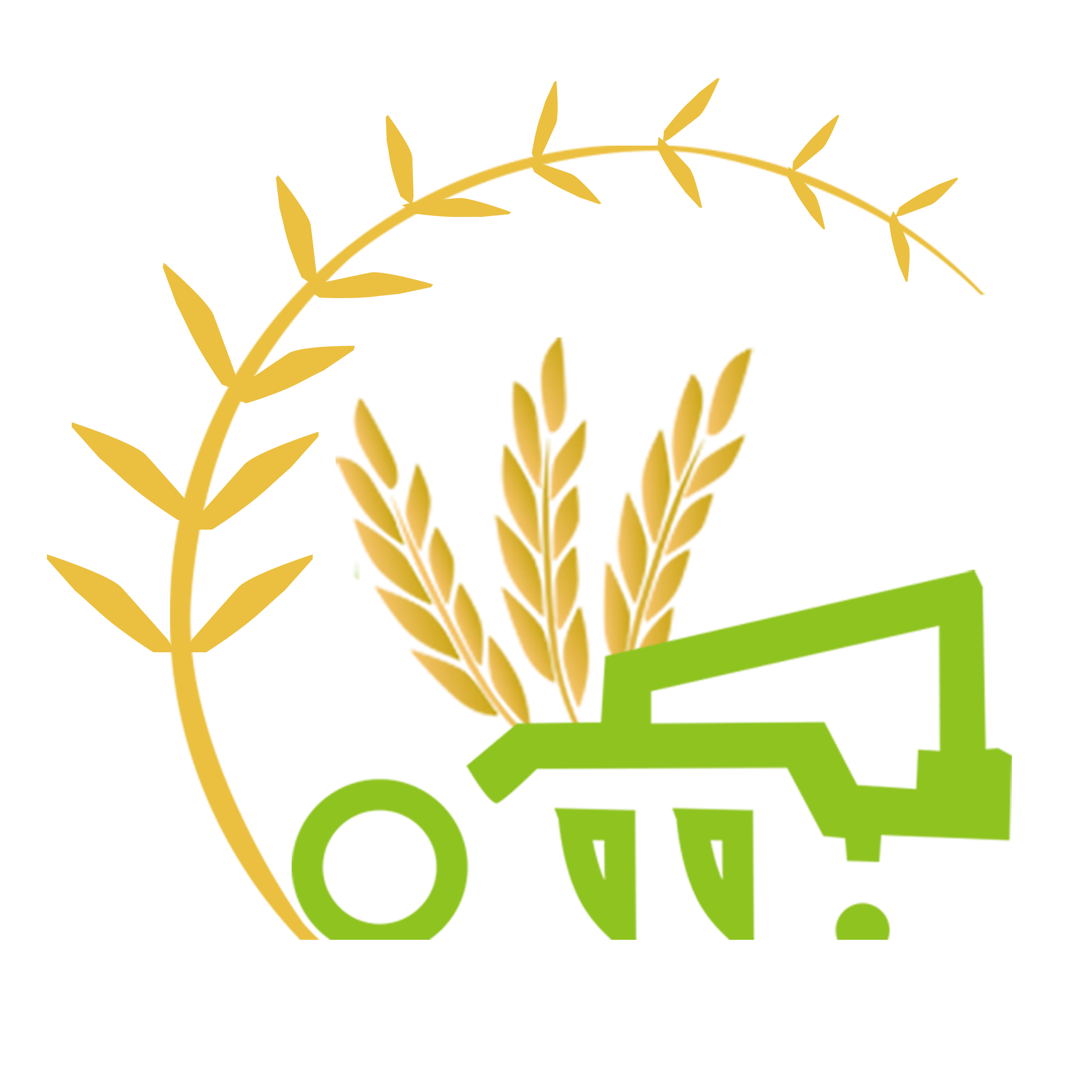 2022йʳе